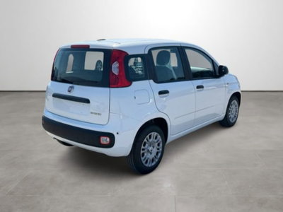Fiat Pandina 1.0 firefly hybrid Icon s&s 65cv (4)