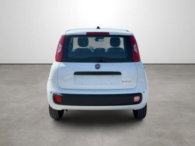 Fiat Pandina 1.0 firefly hybrid Icon s&s 65cv (5)
