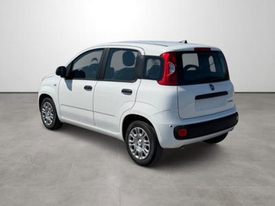 Fiat Pandina 1.0 firefly hybrid Icon s&s 65cv (6)