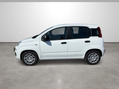 Fiat Pandina 1.0 firefly hybrid Icon s&s 65cv (7)