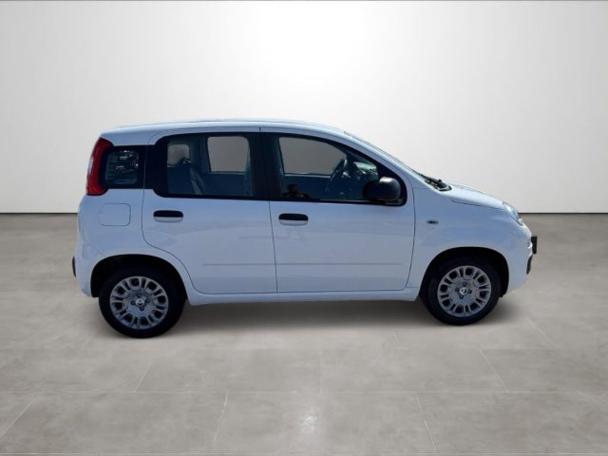 Fiat Pandina 1.0 firefly hybrid Icon s&s 65cv (8)