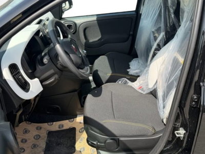 Fiat Pandina 1.0 firefly hybrid s&s 65cv (12)