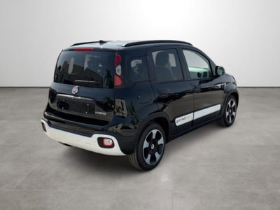 Fiat Pandina 1.0 firefly hybrid s&s 65cv (4)
