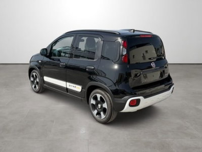 Fiat Pandina 1.0 firefly hybrid s&s 65cv (6)