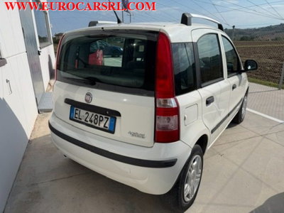 Fiat Panda 1.4 Dynamic Natural Power (5)