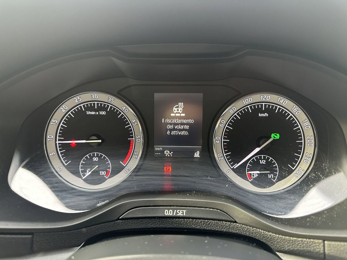 Skoda Karoq 2.0 TDI EVO SCR 115 CV DSG S-Tech (18)
