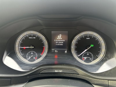 Skoda Karoq 2.0 TDI EVO SCR 115 CV DSG S-Tech (18)