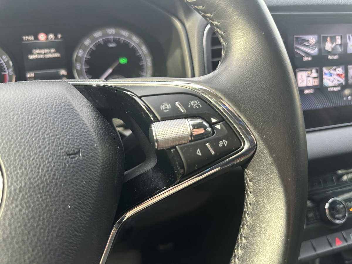Skoda Karoq 2.0 TDI EVO SCR 115 CV DSG S-Tech (20)