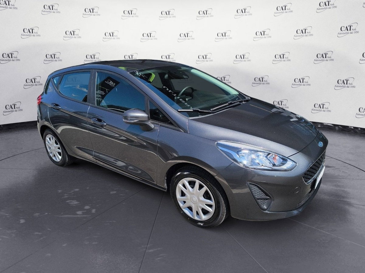 Ford Fiesta 1.1 75 CV GPL 5 porte Plus (5)