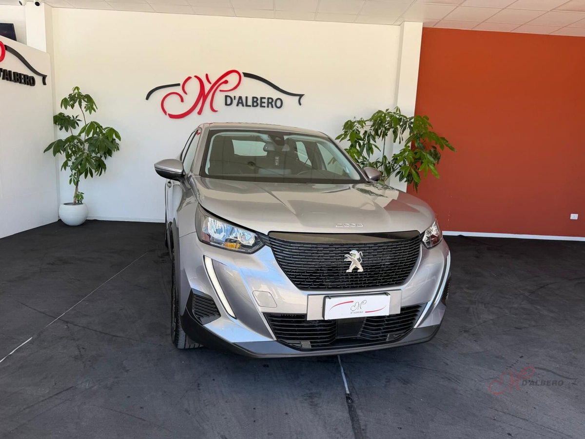Peugeot 2008 1.2 puretech Active s&s 100cv (4)
