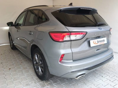 Ford Kuga 2.5 Plug In Hybrid 225 CV CVT 2WD ST-Line (6)