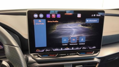Cupra Formentor Formentor 2.0 TDI (12)