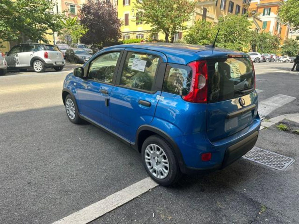 Fiat Panda 1.0 firefly hybrid s&s 70cv 5p.ti (4)