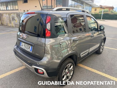 Fiat Panda Cross Cross 0.9 TwinAir Turbo S&S 4x4 (2)
