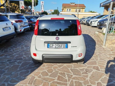 Fiat Panda 1.0 firefly hybrid Pop s&s 70cv (5)