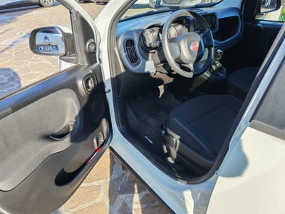 Fiat Panda 1.0 firefly hybrid Pop s&s 70cv (8)