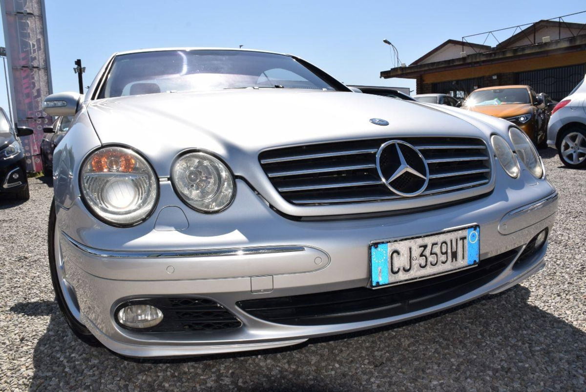 Mercedes-Benz CL 500 cat (10)