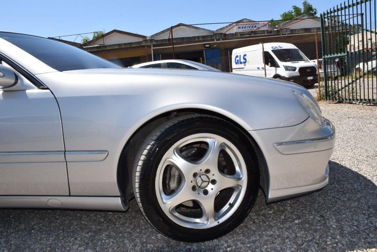 Mercedes-Benz CL 500 cat (15)
