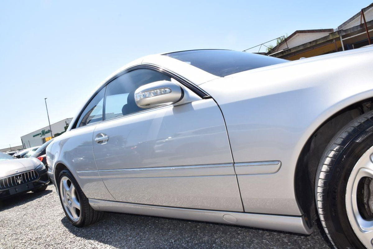 Mercedes-Benz CL 500 cat (16)