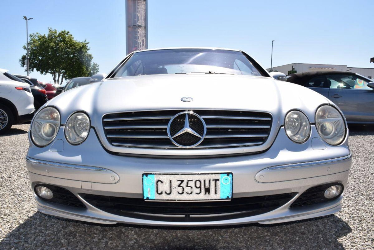 Mercedes-Benz CL 500 cat (19)