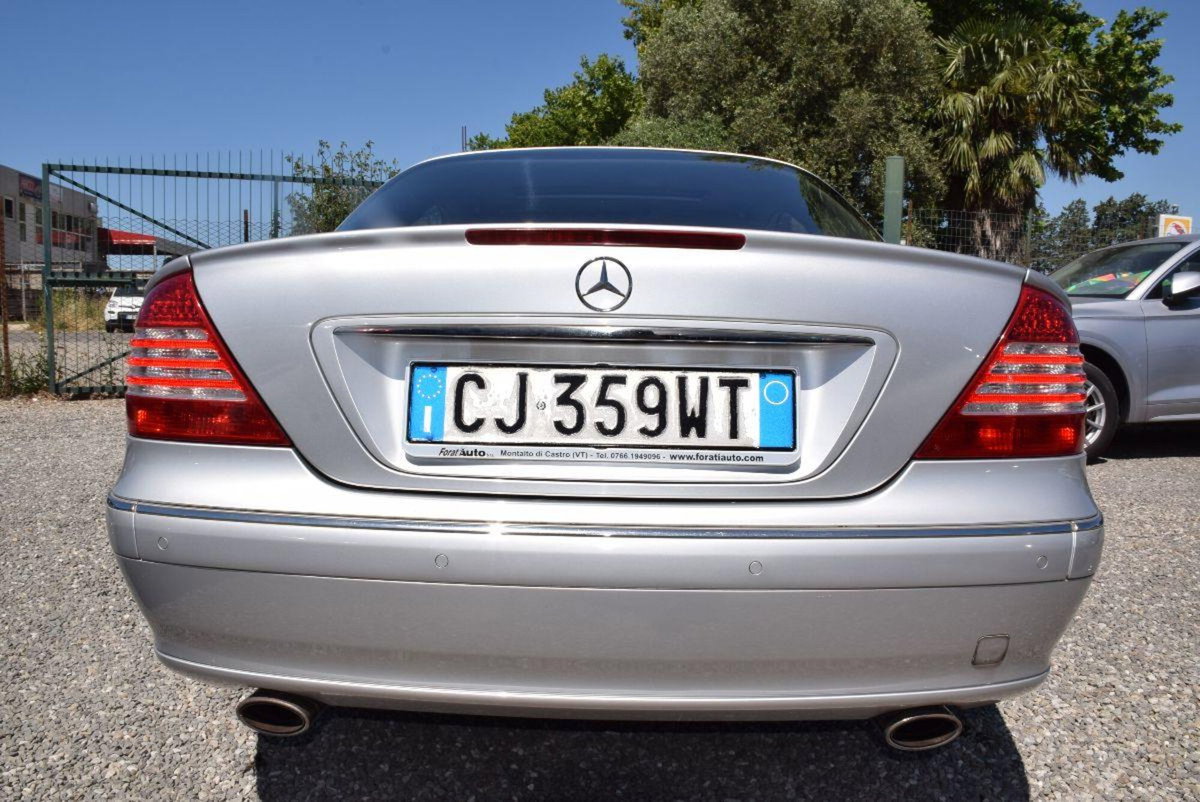 Mercedes-Benz CL 500 cat (20)