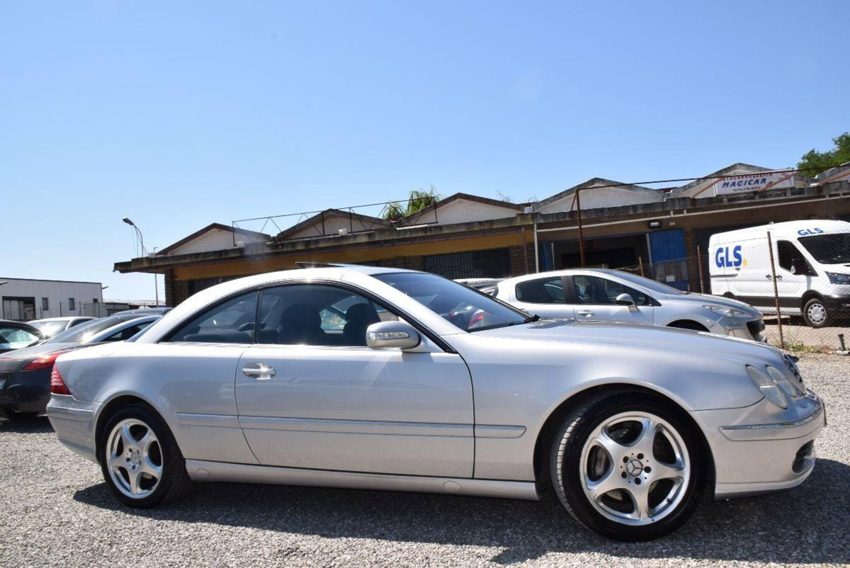 Mercedes-Benz CL 500 cat (3)
