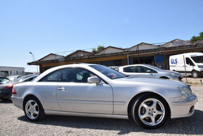 Mercedes-Benz CL 500 cat (3)