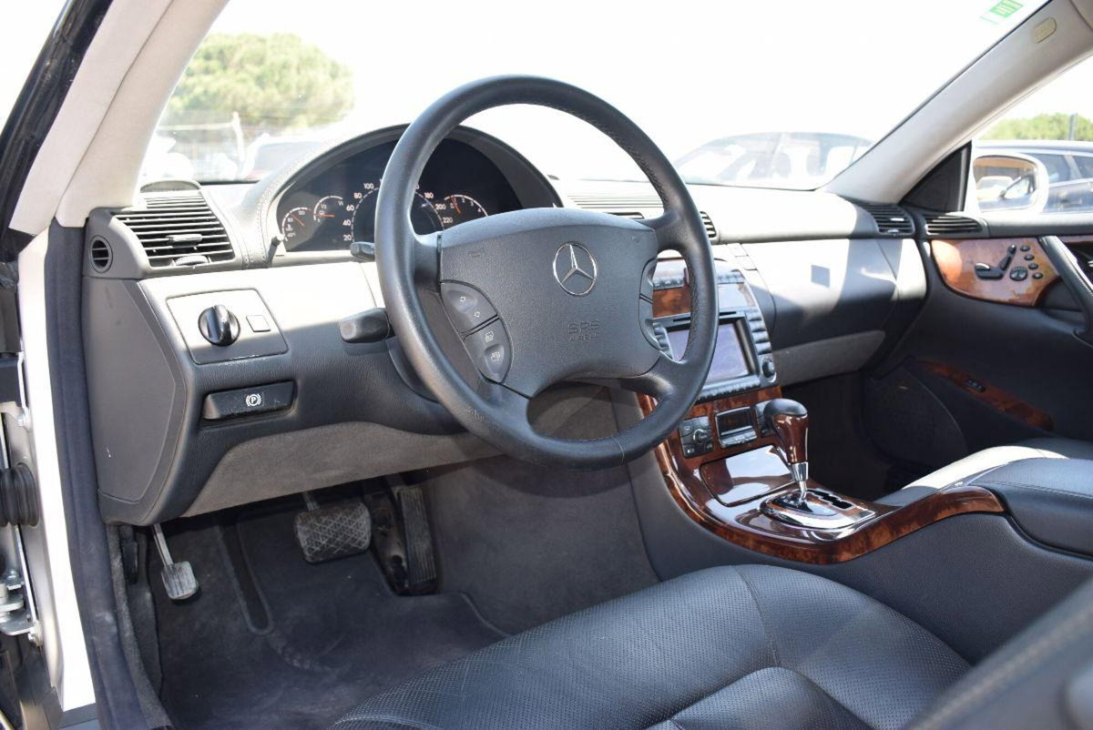 Mercedes-Benz CL 500 cat (6)