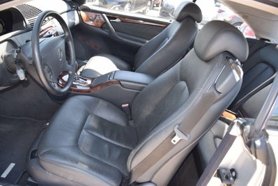 Mercedes-Benz CL 500 cat (7)
