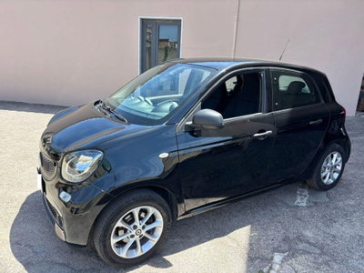 smart forfour forfour 70 1.0 Youngster usata