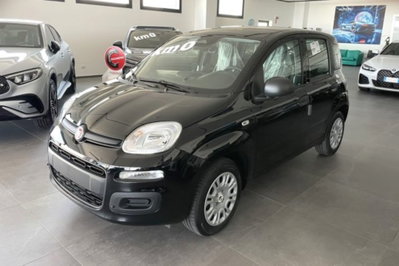 Fiat Panda 1.0 firefly hybrid s&s 70cv 5p.ti (9)