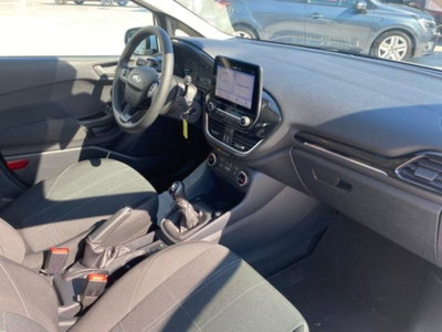 Ford Fiesta 1.1 75 CV 5 porte Business (10)