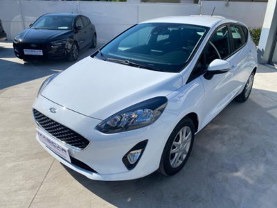 Ford Fiesta 1.1 75 CV 5 porte Business (3)