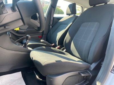 Ford Fiesta 1.1 75 CV 5 porte Business (8)