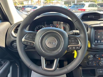Jeep Renegade 1.6 Mjt 130 CV Limited (8)