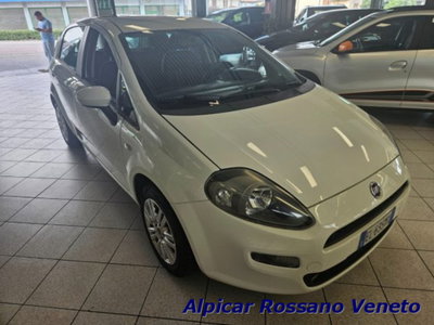 Fiat Punto 1.2 8V 5 porte Lounge (3)