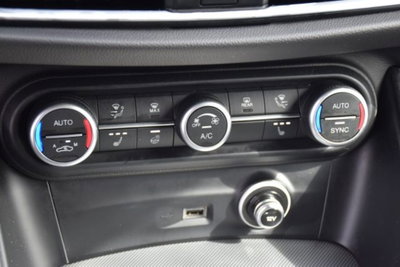 Alfa Romeo Stelvio Stelvio 2.2 Turbodiesel 210 CV AT8 Q4 Veloce (15)
