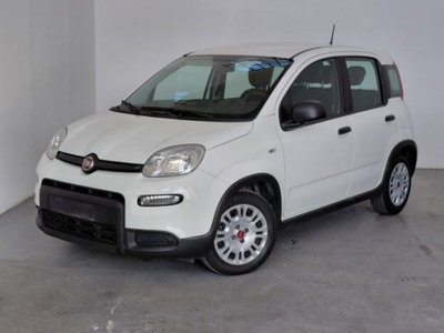 Fiat Panda 1.0 firefly hybrid s&s 70cv 5p.ti usata