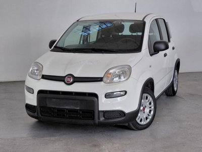 Fiat Panda 1.0 firefly hybrid s&s 70cv 5p.ti (4)
