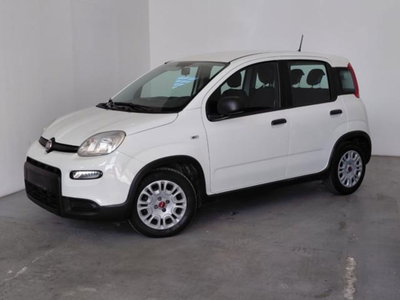 Fiat Panda 1.0 firefly hybrid s&s 70cv 5p.ti (5)
