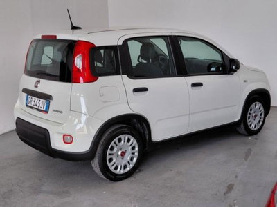 Fiat Panda 1.0 firefly hybrid s&s 70cv 5p.ti (6)