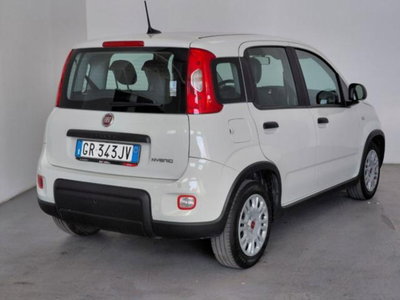 Fiat Panda 1.0 firefly hybrid s&s 70cv 5p.ti (7)