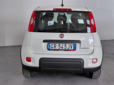 Fiat Panda 1.0 firefly hybrid s&s 70cv 5p.ti (8)