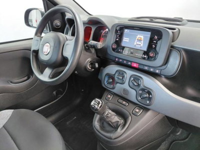Fiat Panda 1.0 firefly hybrid s&s 70cv 5p.ti (2)