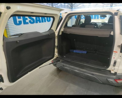 Ford EcoSport 1.5 TDCi 95 CV Titanium S (19)