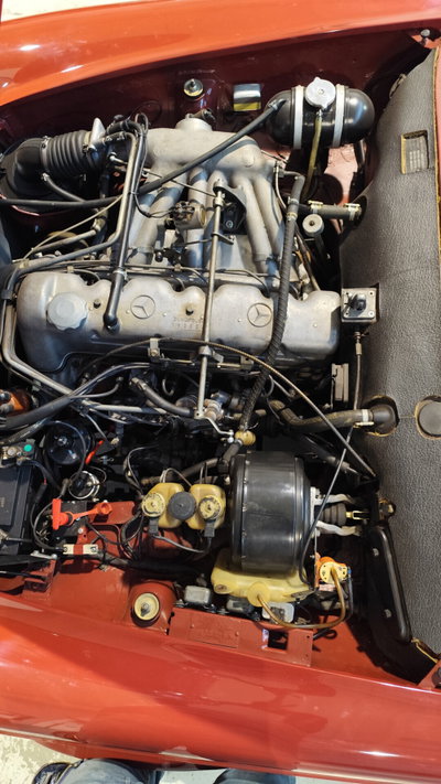 Mercedes-Benz SL 280 cat Chrome (9)