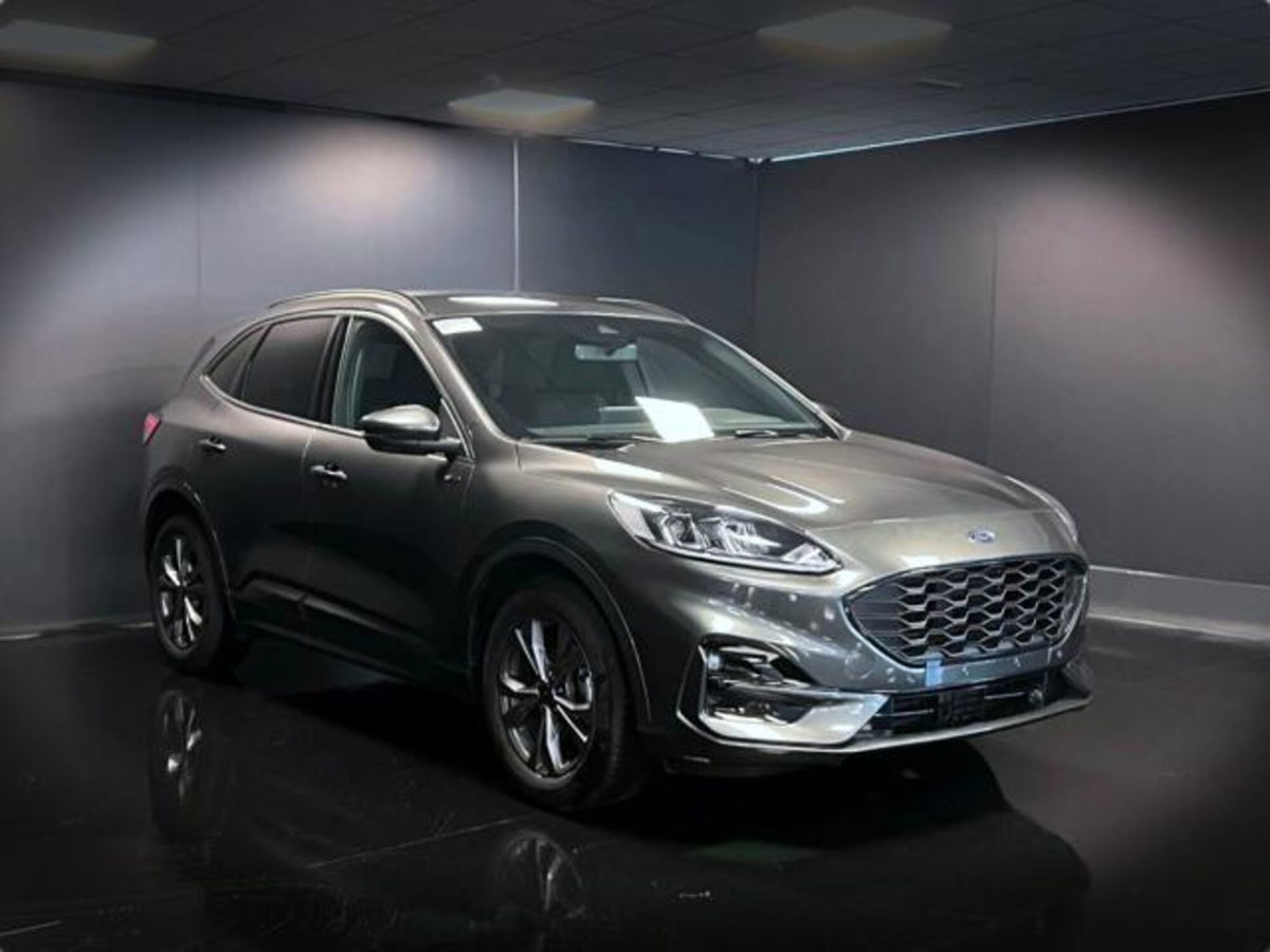 Ford Kuga 2.0 EcoBlue 120 CV aut. 2WD ST-Line X (6)