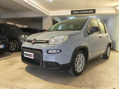 Fiat Panda 1.0 firefly hybrid Pop s&s 70cv usata