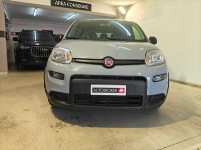 Fiat Panda 1.0 firefly hybrid Pop s&s 70cv (2)
