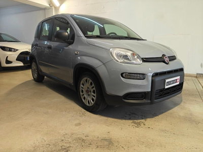 Fiat Panda 1.0 firefly hybrid Pop s&s 70cv (3)